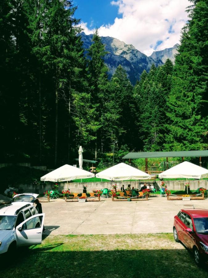 Hostel Cppi Vest Buşteni Εξωτερικό φωτογραφία