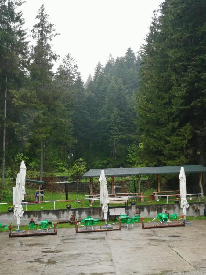 Hostel Cppi Vest Buşteni Εξωτερικό φωτογραφία