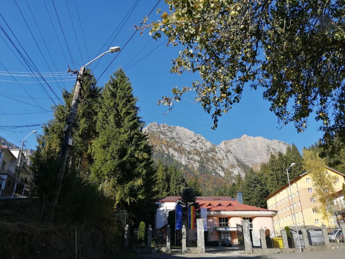 Hostel Cppi Vest Buşteni Εξωτερικό φωτογραφία