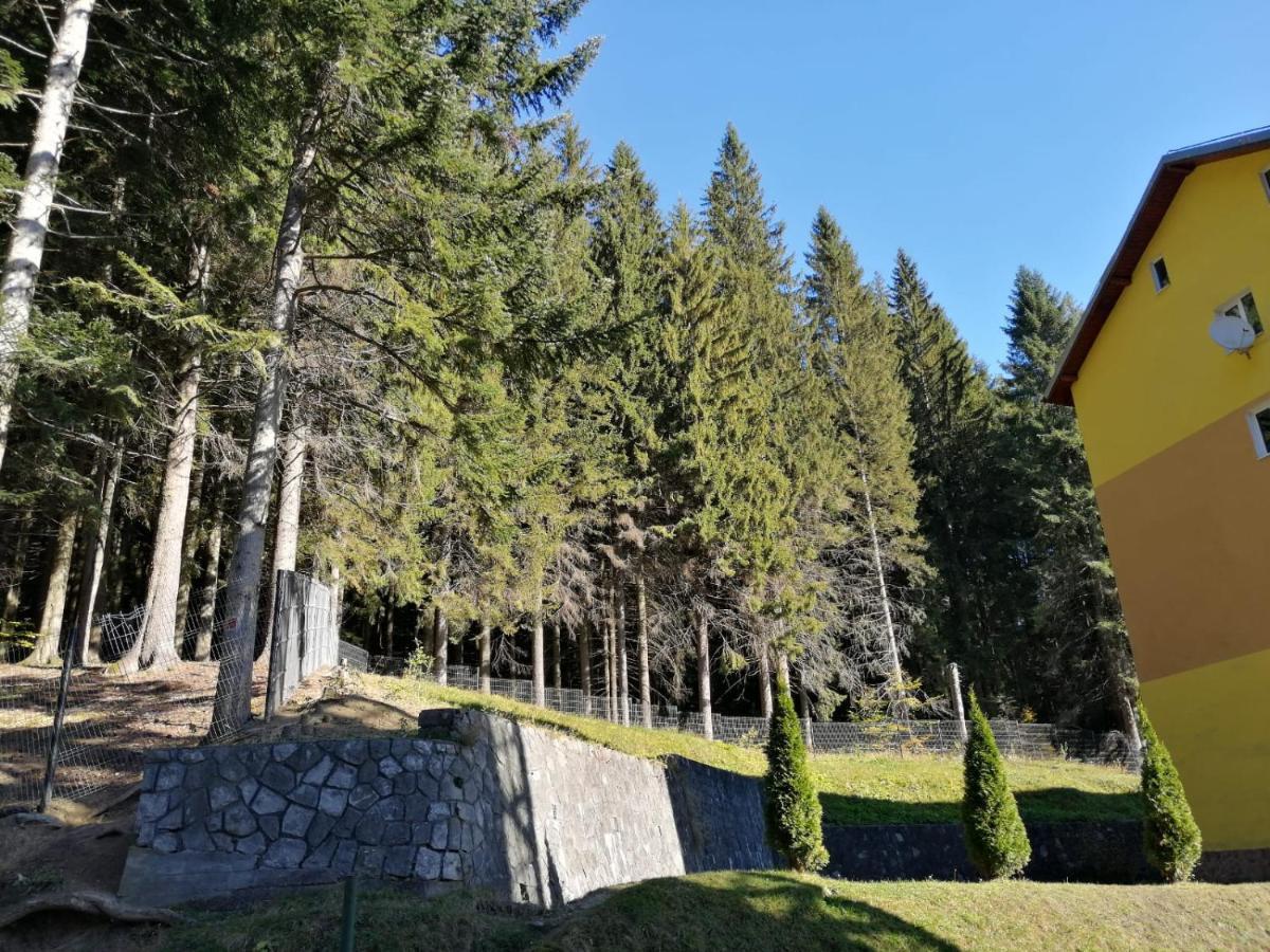 Hostel Cppi Vest Buşteni Εξωτερικό φωτογραφία