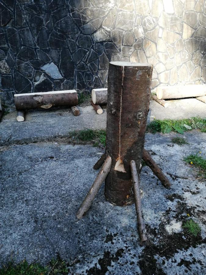 Hostel Cppi Vest Buşteni Εξωτερικό φωτογραφία